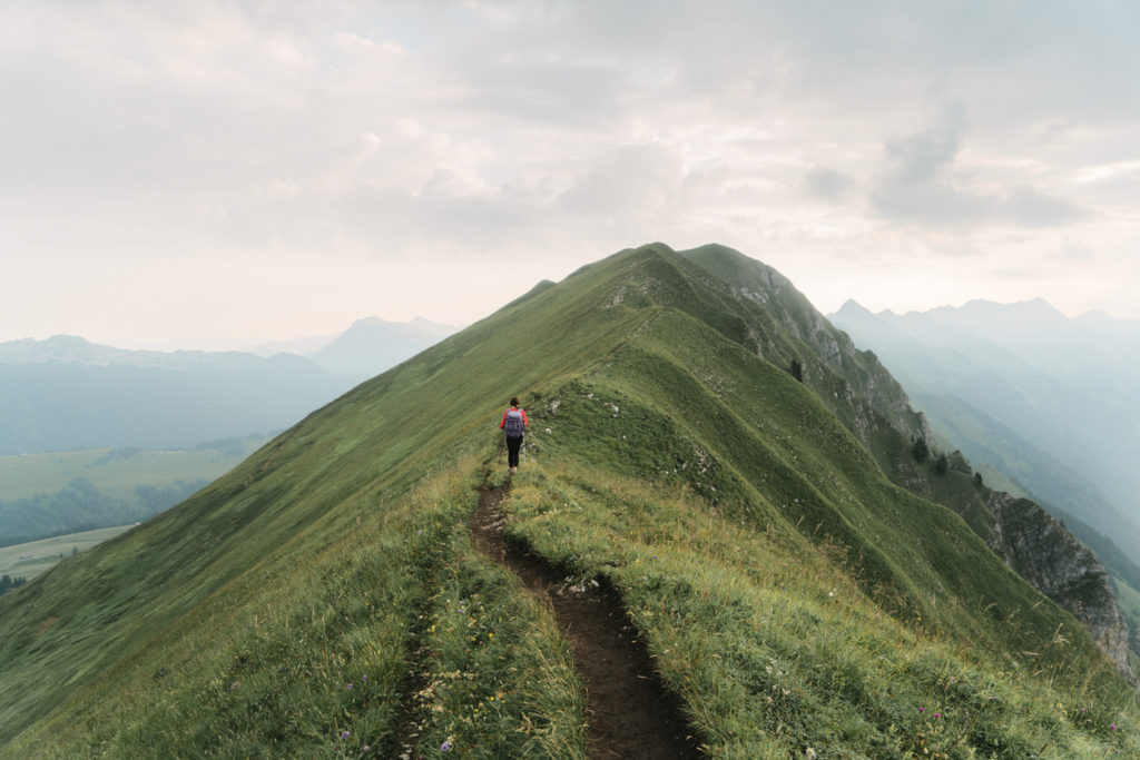 Individual steps are small accomplishments toward the ultimate goal.